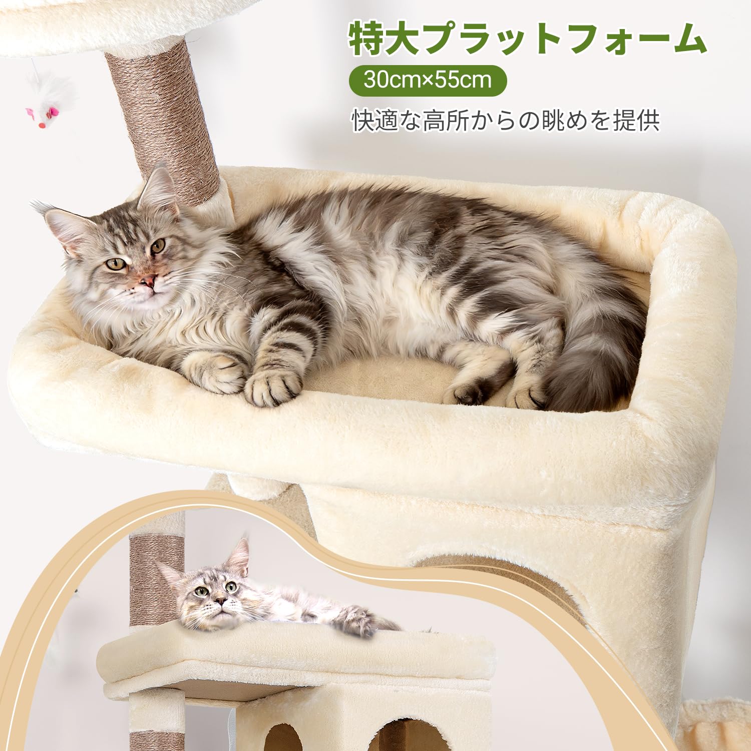 Amazon | Globlazer キャットタワー ベージュ 大型猫用 頑丈 タイプ