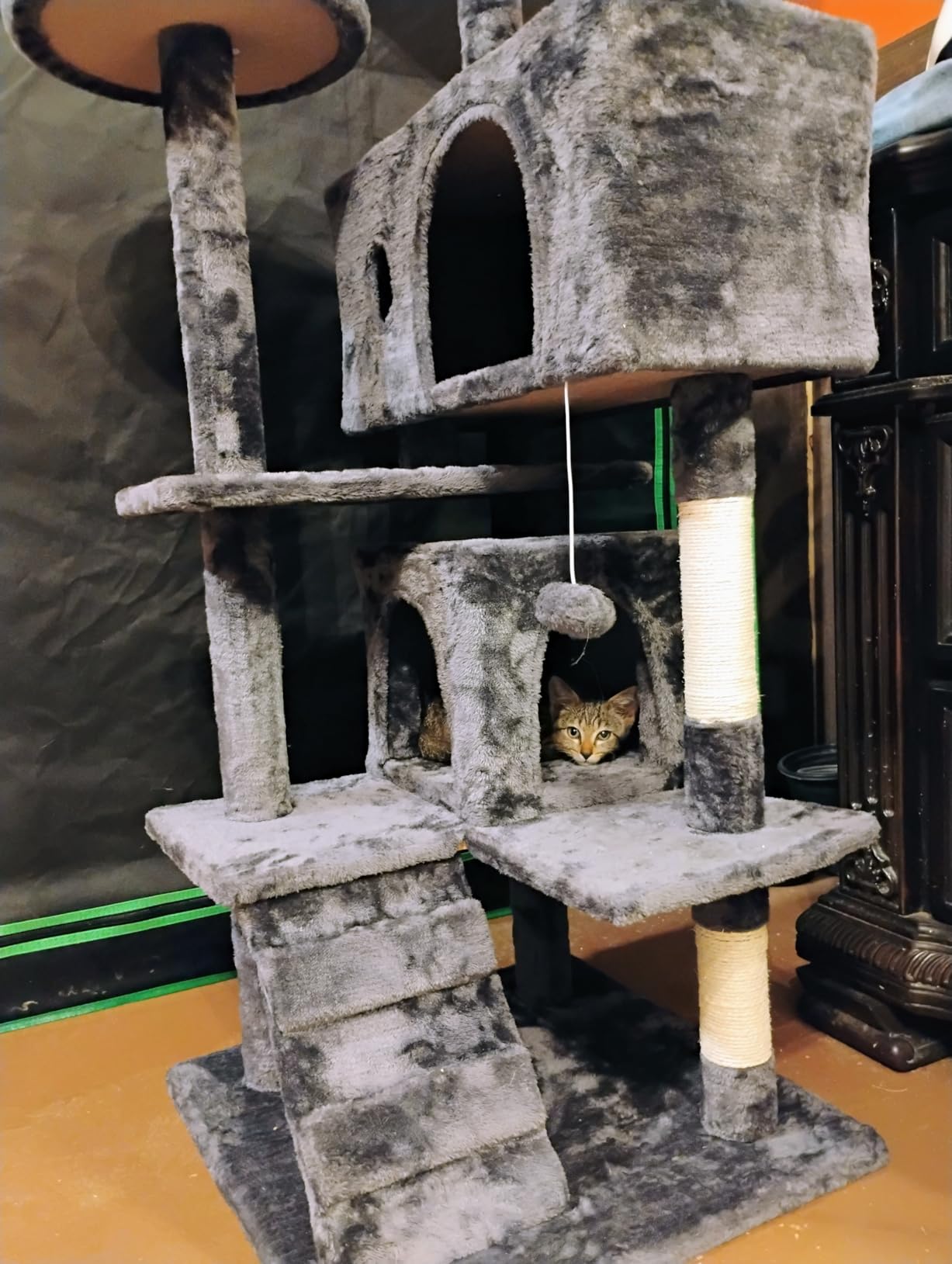 FDW Cat Tree 54in Cat Tower Multi-Level Durable Cat Scratching Post & Cozy Fun Cat Jumping Platform Space Saving Cat Condo Pet Play House for Indoor Cats,Dark Gray photo review