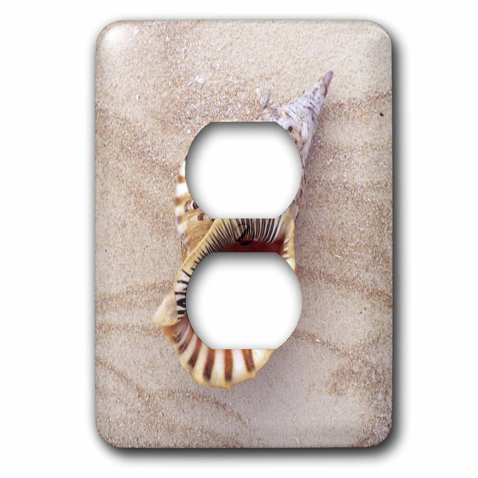 Prise murale blanche terne ? Changez pour la double prise Seashell On Beach 3dRose