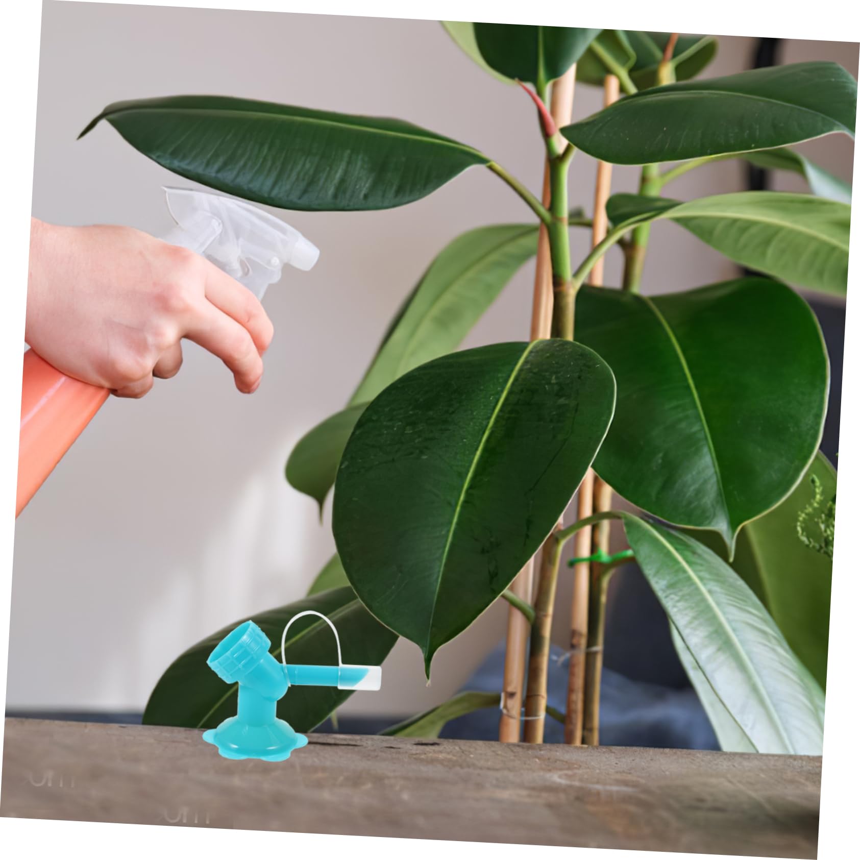 Bocchetta Irrigazione Plastico 5 Pezzi per Piante e Fiori Distribuzione Uniforme Acqua Risparmio Lavoro per Annaffiatura Giardino Famiglia