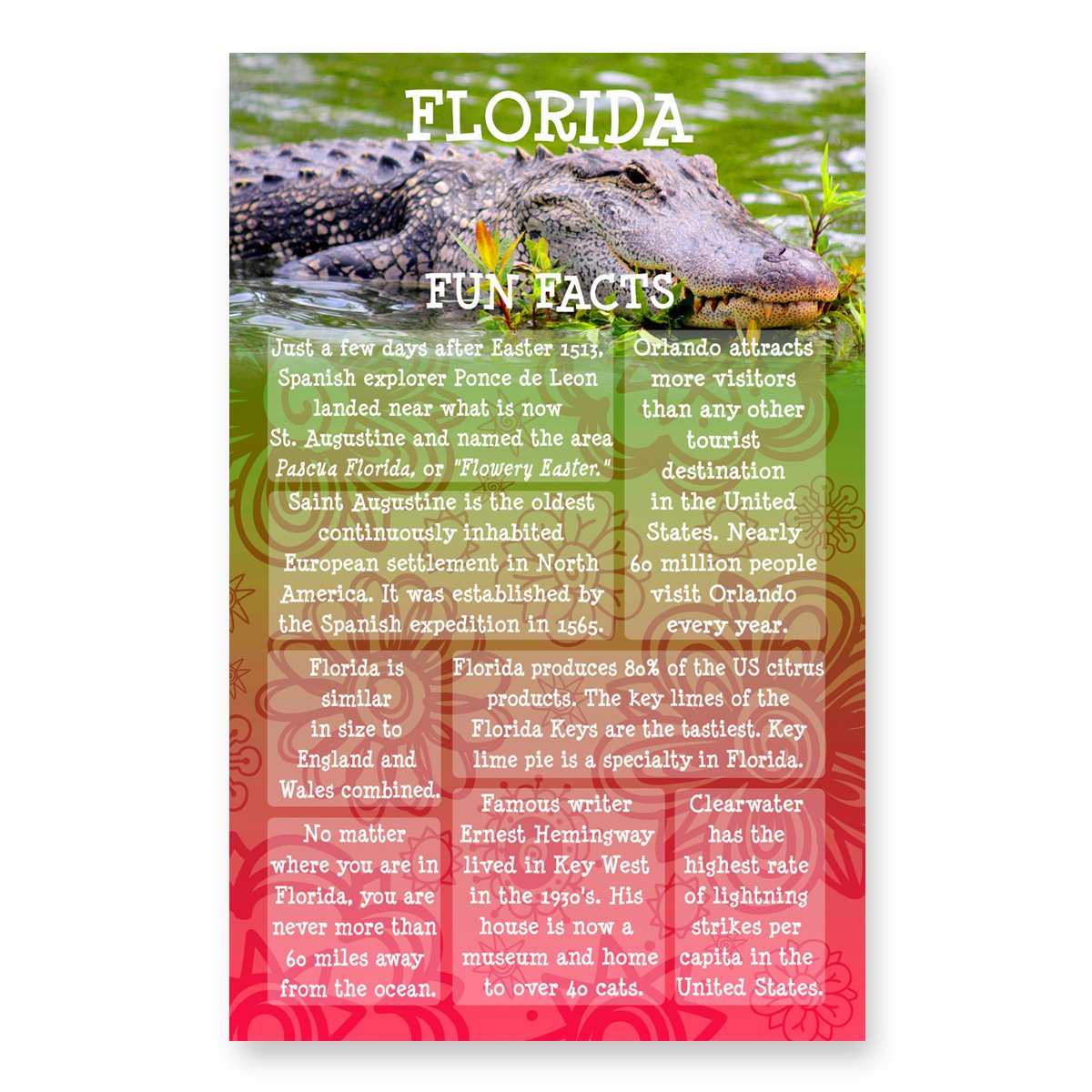 FLORIDA FUN FACTS postcard set of 20 identical postcards. US state trivia post card pack. Made in USA.