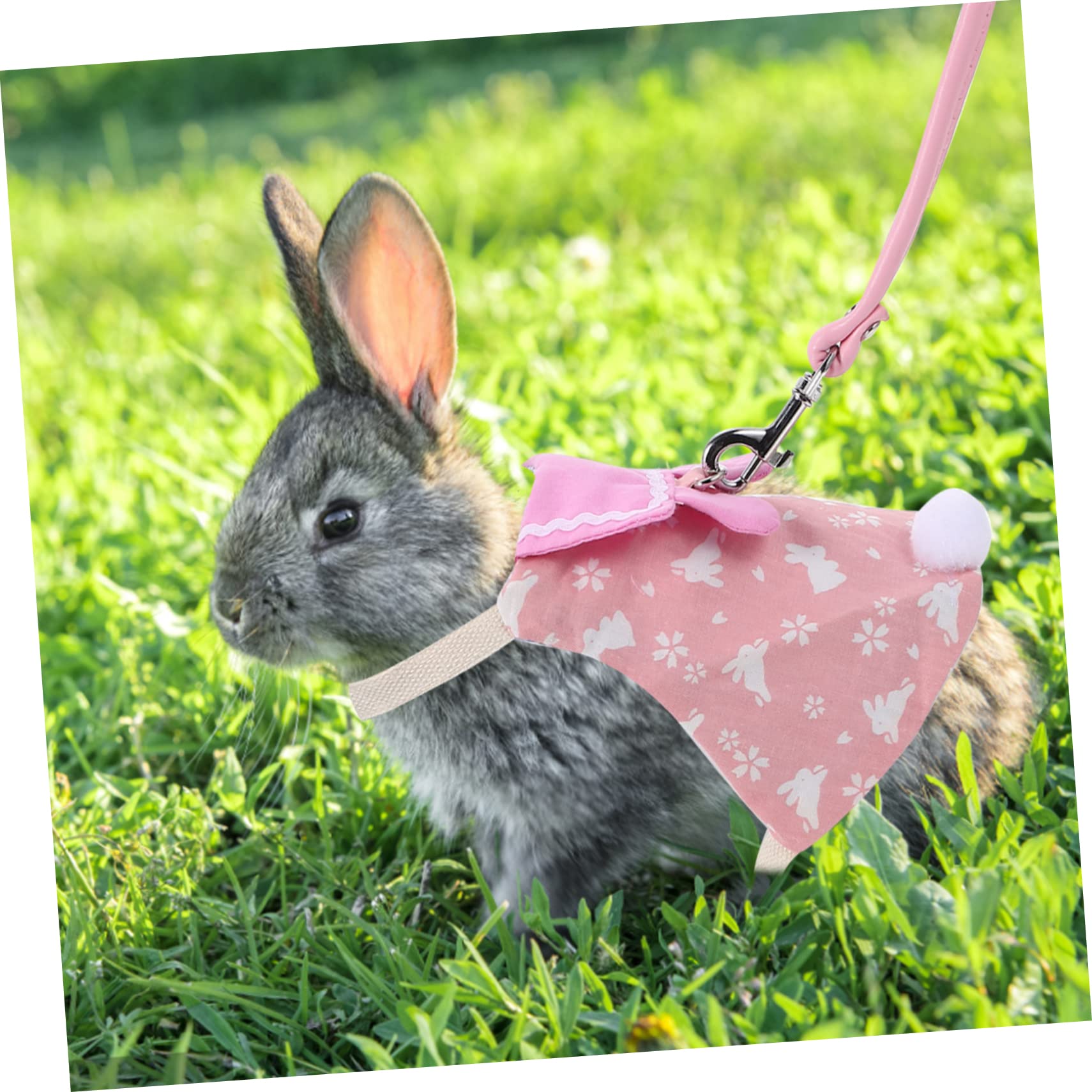 Milisten 4sätze Garment Bunny Kit Atmungsaktives Hasengeschirr Mit Leine Für Kleine Haustiere Für Fotos Und Besondere Anlässe