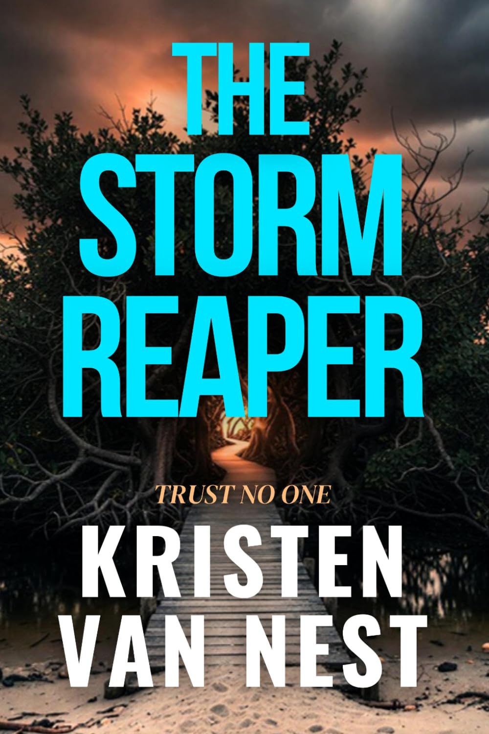 The Storm Reaper: A Violet Crisp Crime Thriller: 1 (Violet Crisp Series)