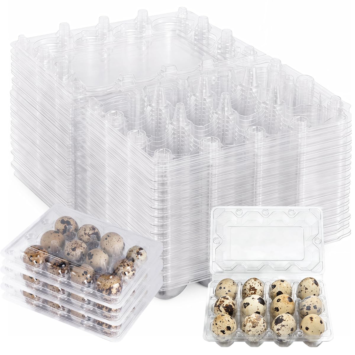 Produktbild von 30 Wachteleierschachteln, 12er Kunststoffboxen, Transparent – 29 Mm Pro Mulde, Robust & Stapelbar