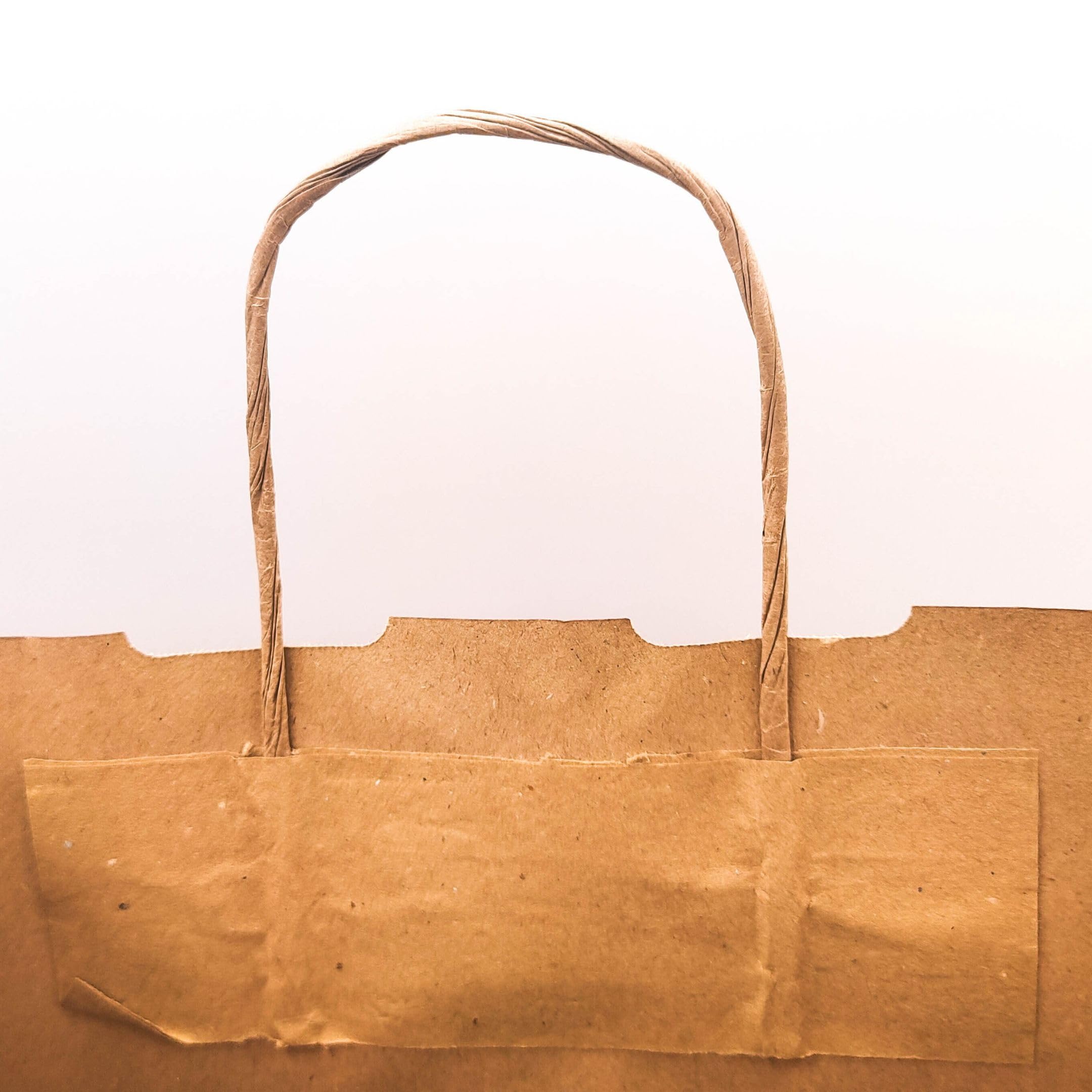 Raylu Paper® - Opakowanie 25 worków papierowych Kraft z wytrzymałymi uchwytami, 100% torby papierowe nadające się do recyklingu na zakup, puszki lub prezent urodzinowy