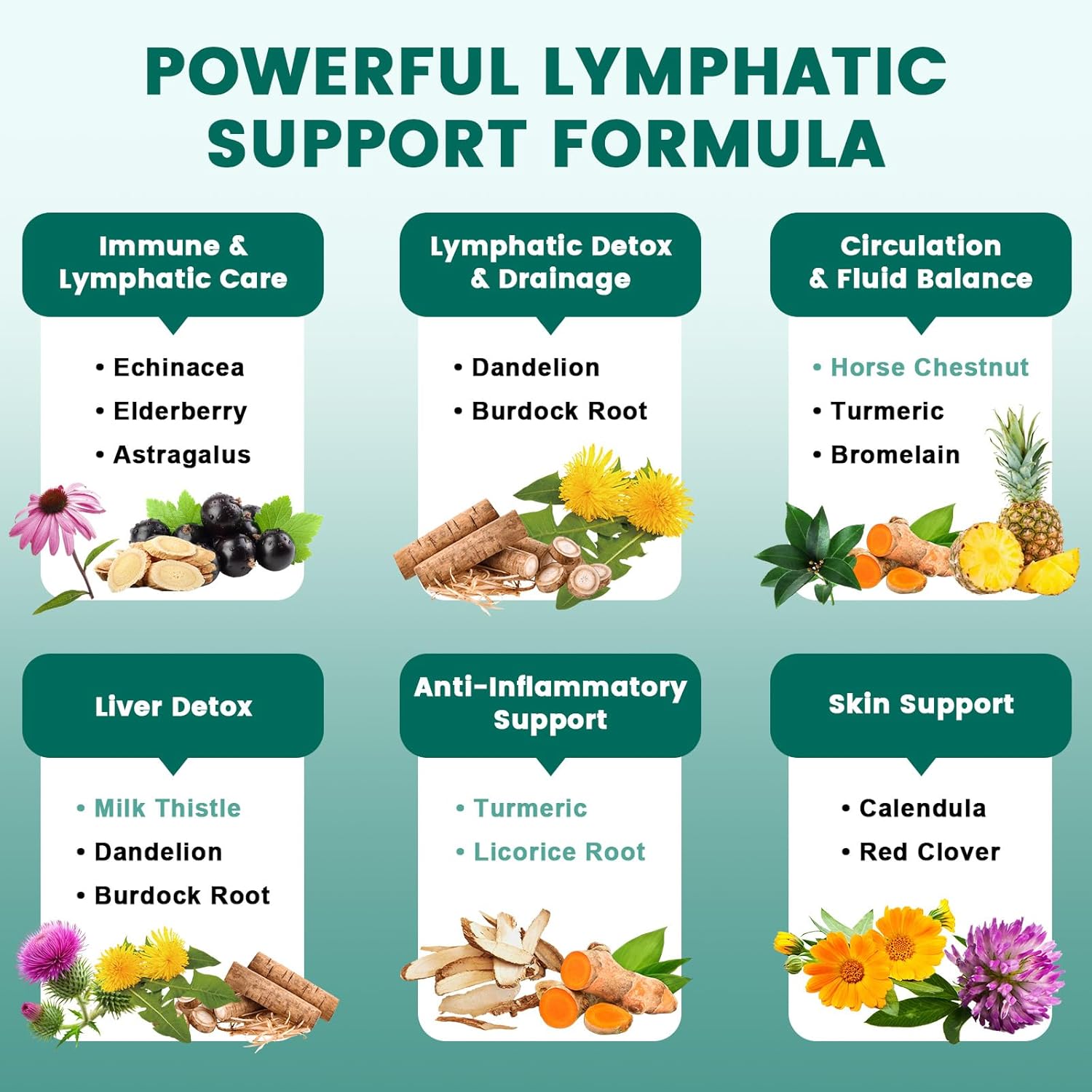 Lymphatic Drainage Capsules – Advanced Lymph System Support, Cleanse & Detox – with Echinacea, Dandelion, Bromelain, Horse Chestnut, for Fluid Balance, Immune & Liver Health – 60 Capsules