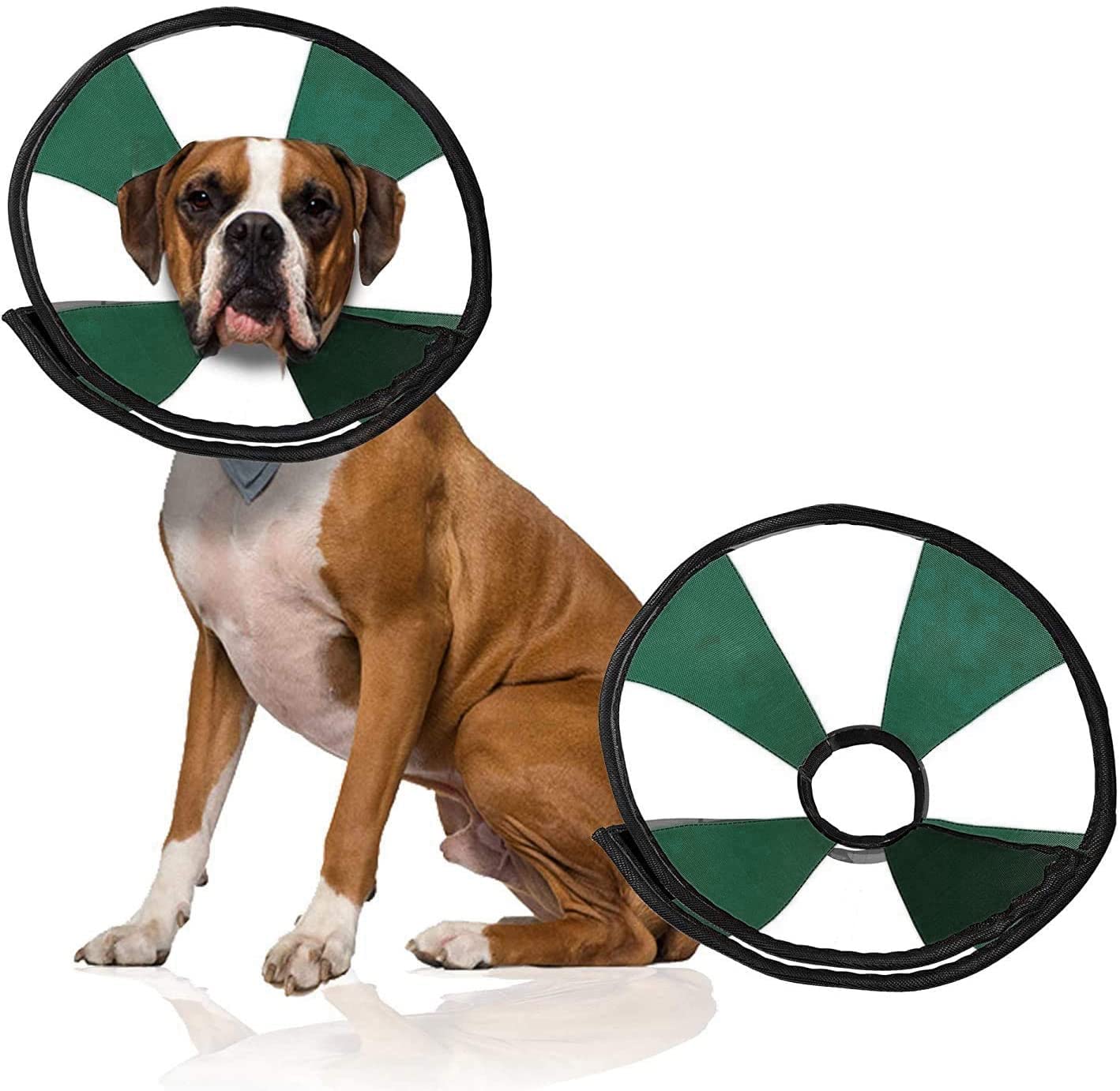 Why Does My Dog Have To Wear A Cone