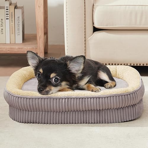 Miniatura 1 de Cama ortopédica para perros para cachorros, razas de perros extra pequeñas, cama ovalada para gatos, sofá cama de espuma para huevos de alta