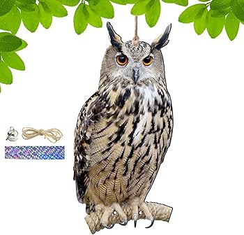 71OcDmZuyCL._AC_UF350,