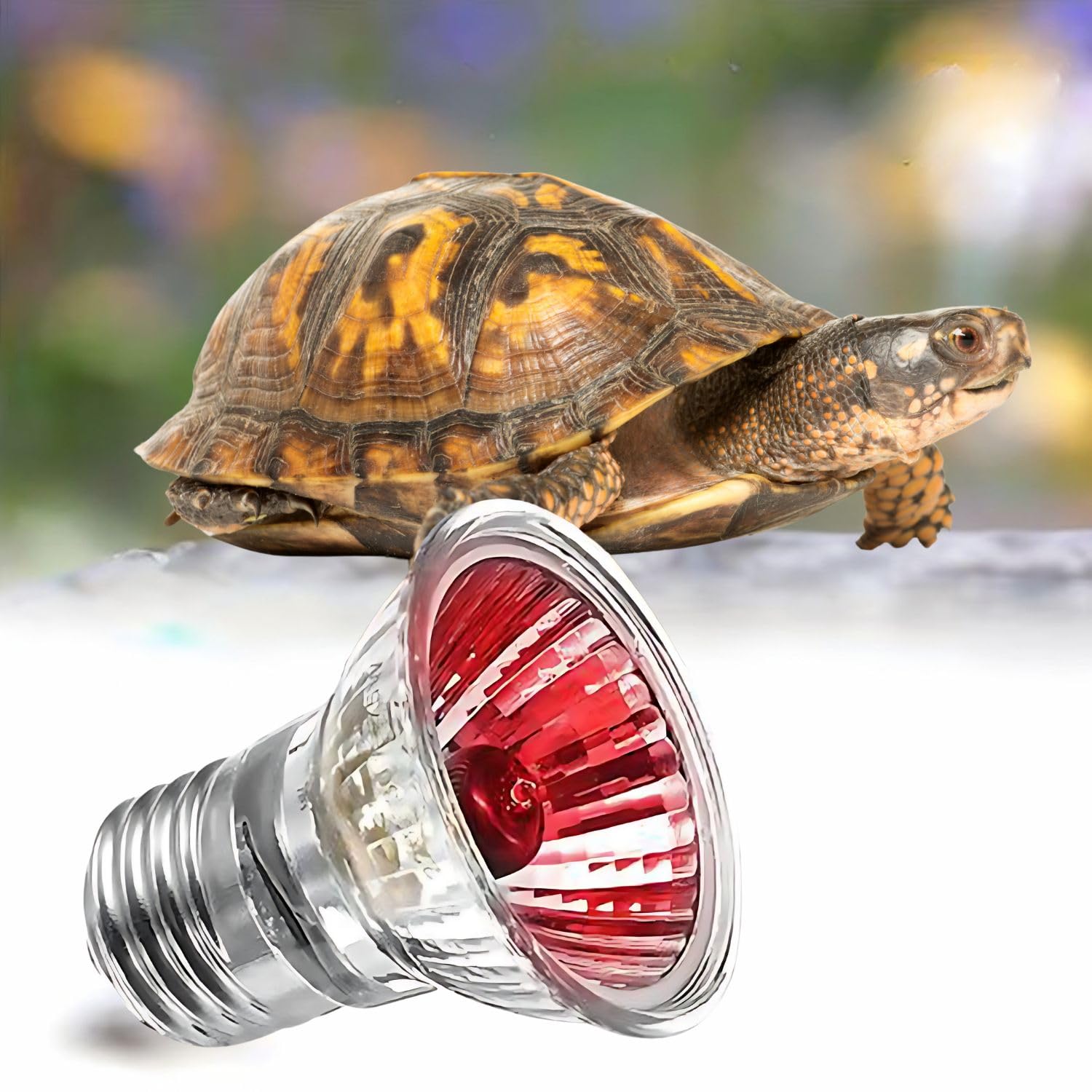 VAYINATO® 50W Infrared UV Rays (Red) Reptile Turtle Heat Lamp Lights, Night Use UVA UVB Aquarium Bulbs by Petzlifeworld-picture-29