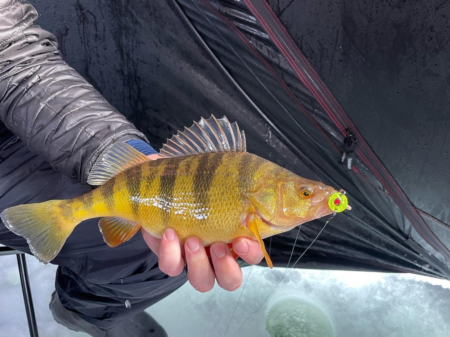 Runs True Fishing RTF - Knockout Eye Spoon 1/8oz - #8 Treble - Made in USA