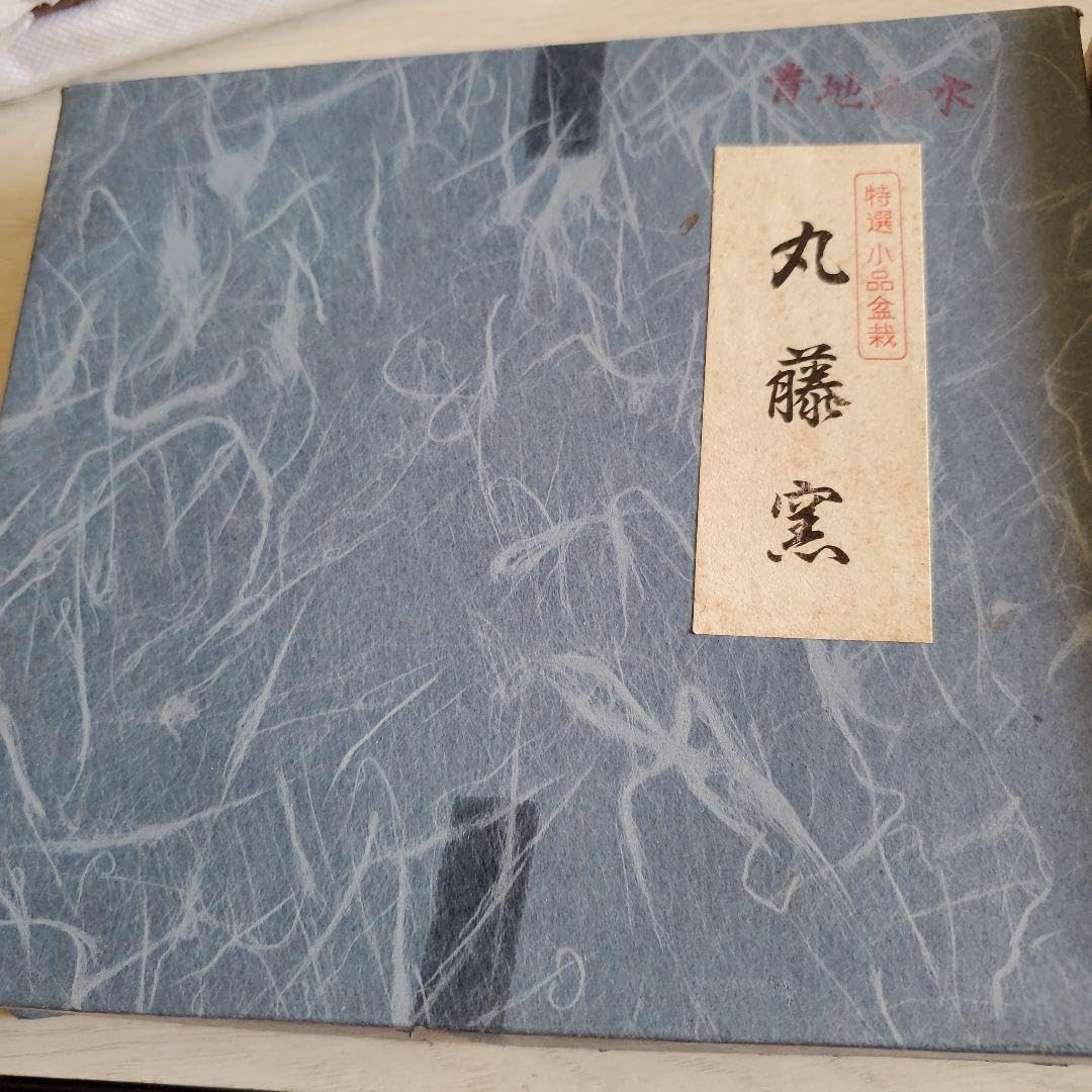 特選小品盆栽 丸藤窯 12セット DIY・工具・ガーデン
