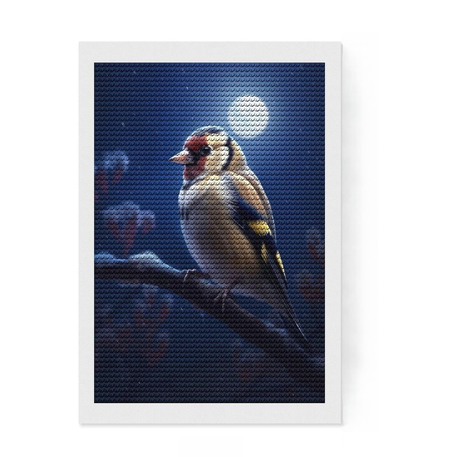 Junmoney Bird Goldfinch Moonlight Round Drill Diamond Painting 8"x12", with Tool Kit, Decorate Your Room, Boho Decor, for Women, Neat Printed Canvas