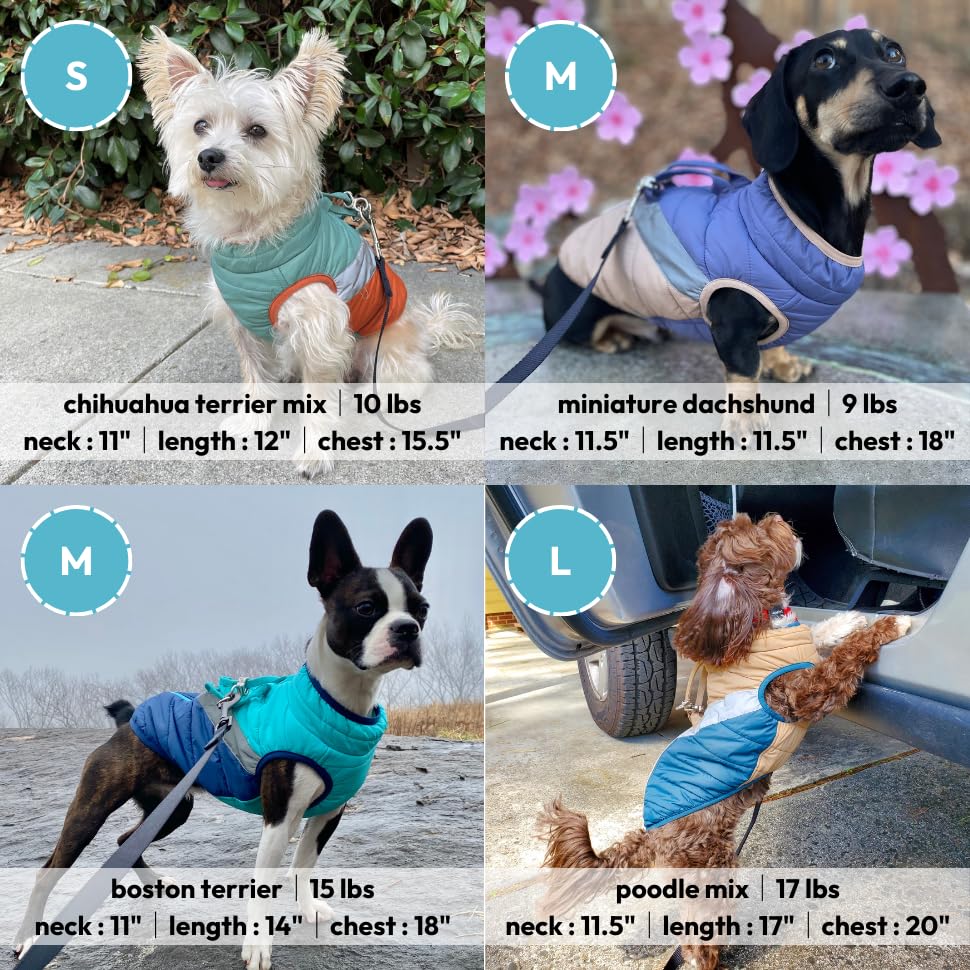 Image of Gooby Mountaineer Dog Jacket - Jade, X-Small - Warm Zip Up Coat with Lift Handle and Dual O Ring Leash Water Resistant for Small to Medium Dogs