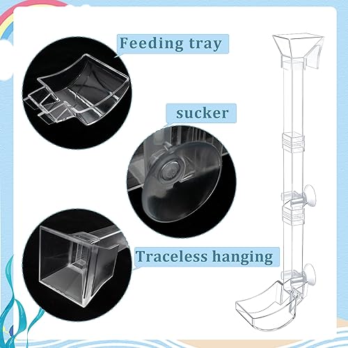 Miniatura 2 de Juego de platos de alimentación de camarones para peces de acuario, tubo y plato de alimentación de peces transparentes con cepillo de limpieza y