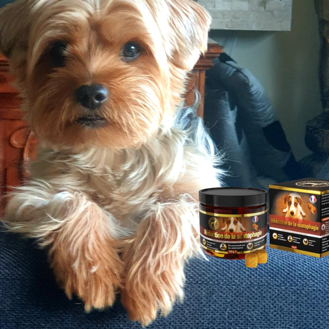 Tratamiento Coprofagia Perro - 60 croquetas de escatofagia Perro para Disuadir de Comer Heces Caninas - Sabor Bacon (Español)