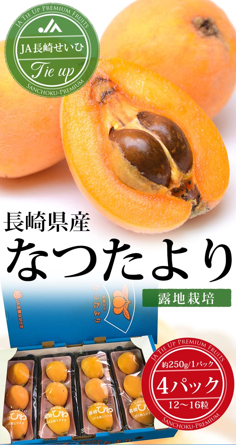 Amazon.co.jp: びわ なつたより 長崎びわ 4パック 12～16粒 露地栽培