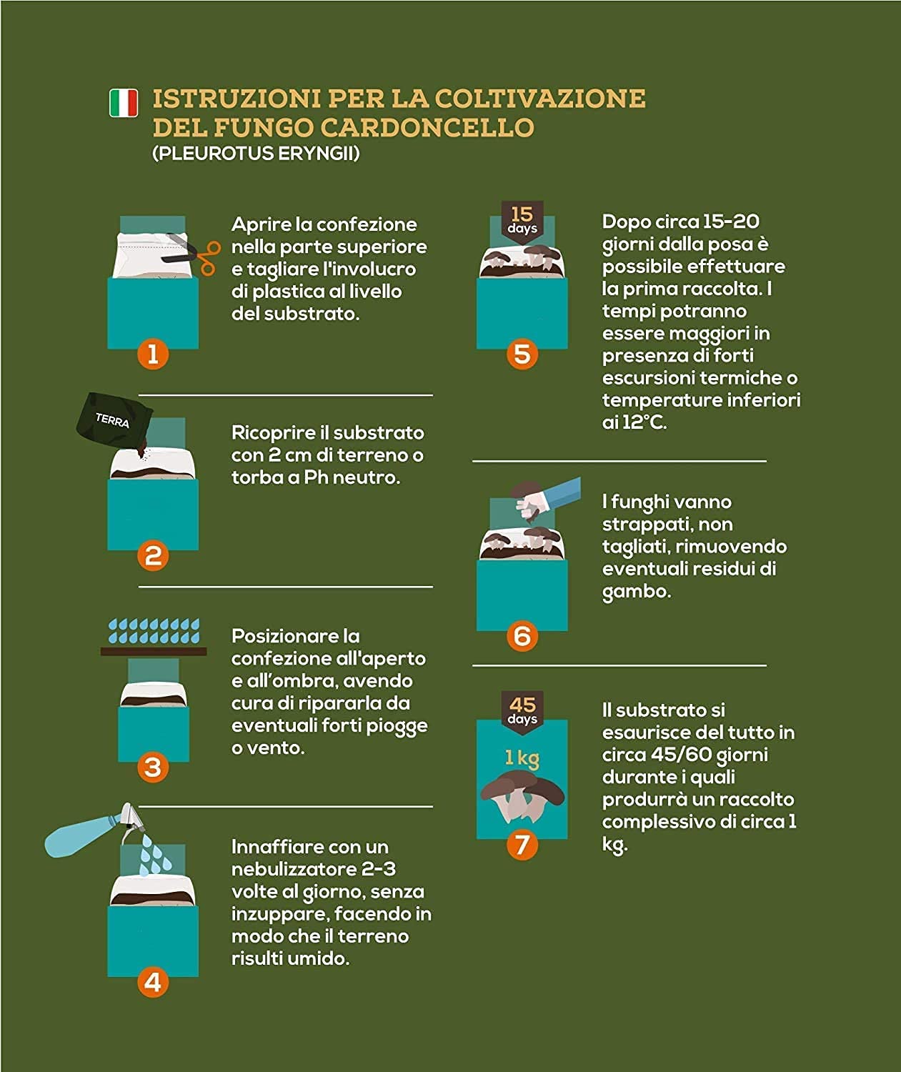 Balletta per la Produzione Professionale di Funghi Cardoncelli Pleurotus Eryngii Ideale per la Coltivazione del Fungo Cardoncello Pugliese Substrato e Ceppo (6)
