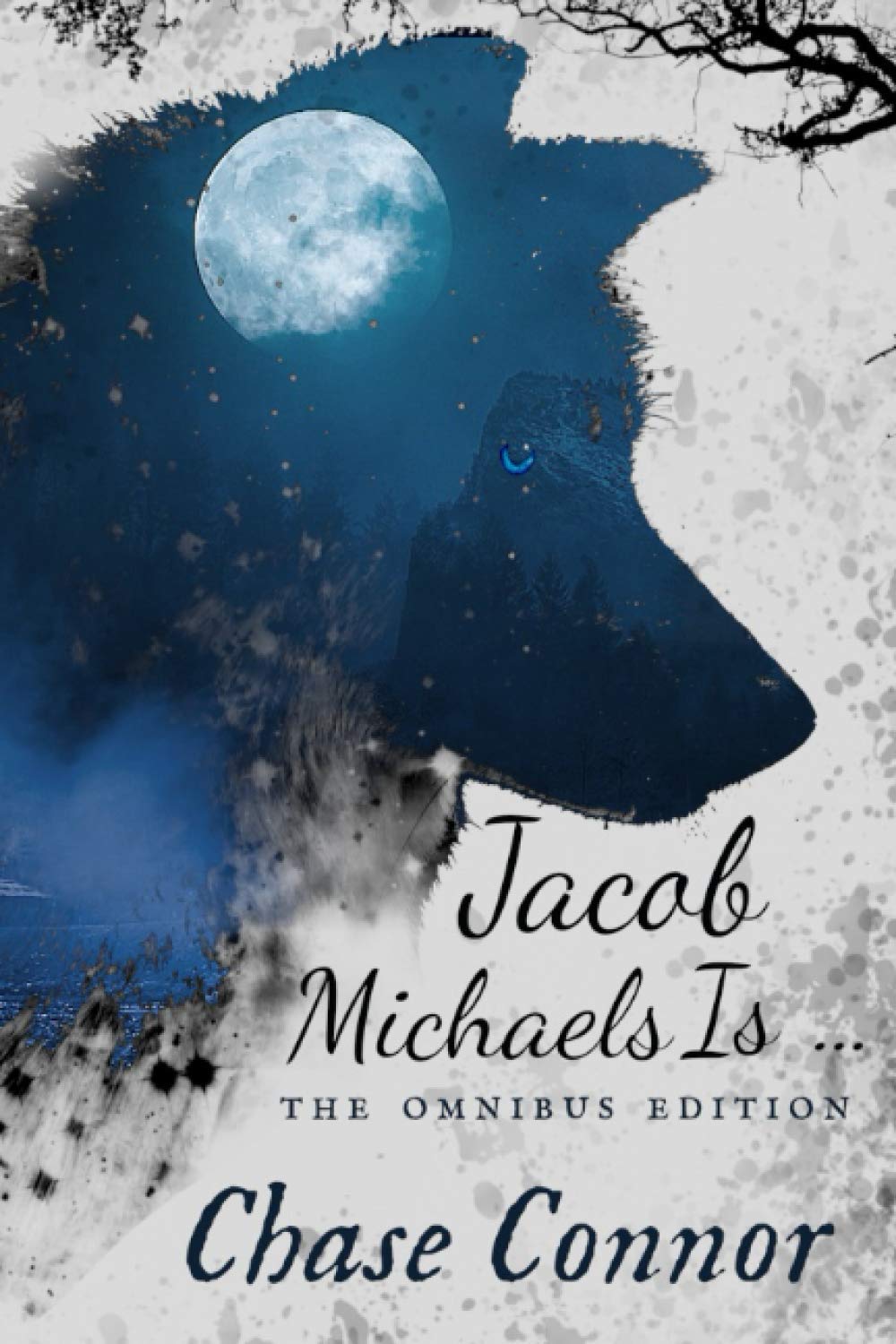 Buy Jacob Michaels Is... The Omnibus Edition: A Point Worth LGBTQ Paranormal Romance Books 1 - 6 — BookShops.in