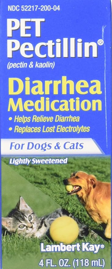 dog tablet dispenser