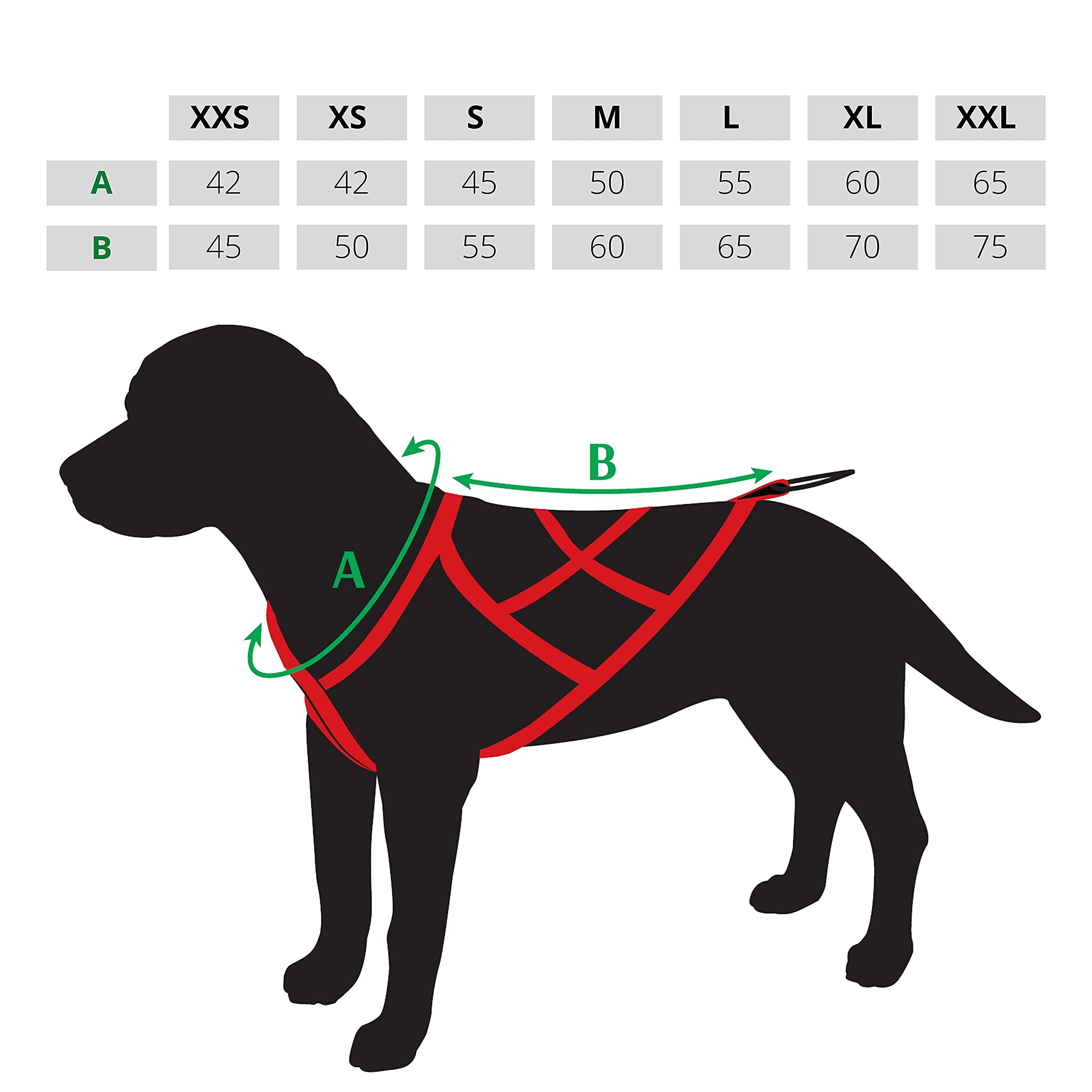 Dingo Imbracatura per cani Sled Colore Nero Imbracatura Canicross Bike Sci Jöring Training Dogtrekking Grande L 15066