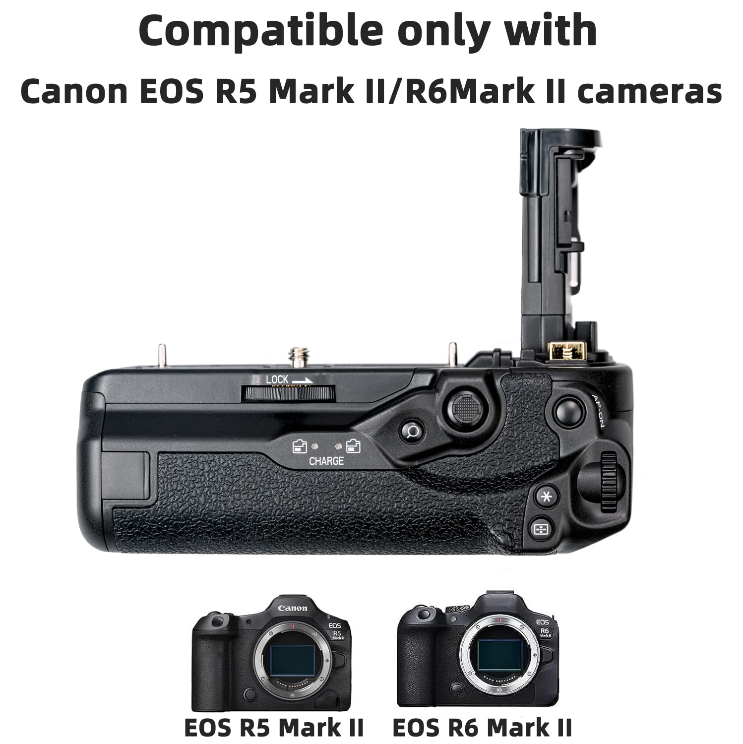 Amazon.com : BG-R20 Battery Camera Grip for Canon EOS R5 Mark II
