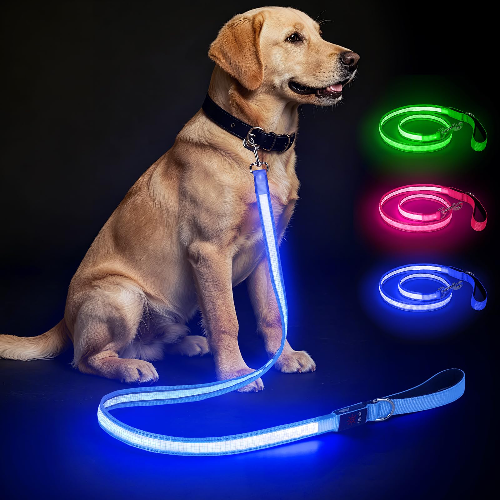 Light Up Dog Lead - Glow in the Dark Dog Leash for Night Walking, Type-C Rechargeable LED Dog Leads, Waterproof Leads For Medium Small Large Dogs (Blue)