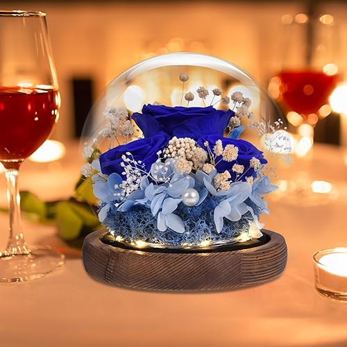 Miniatura 7 de Regalos para mujeres, flores preservadas hechas a mano, rosas de clavel reales en vidrio con luz, regalos para mamá, abuela, novia, esposa,