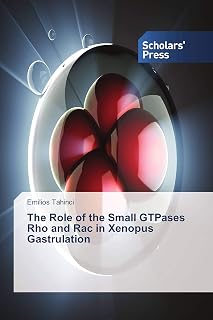The Role of the Small GTPases Rho and Rac in Xenopus Gastrulation