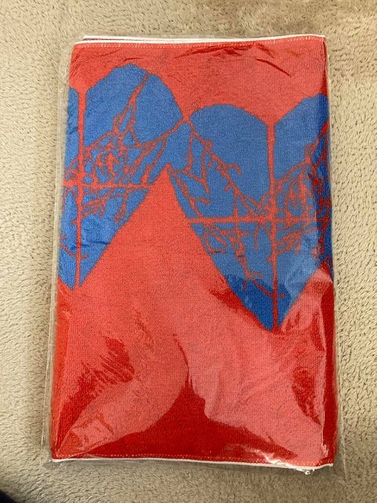 flumpool Tシャツ タオル　バック38点グッズ　もさーる　9点 flumpool Tシャツ タオル バック38点グッズ もさーる 9点 ライブ