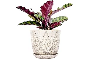 Gepege 8" Pots for Plants - Ceramic Planter with Drainage for Greenery