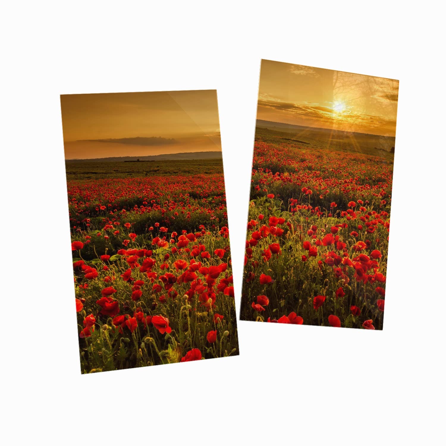 Wallario Herdabdeckplatte aus Glas, 2-teilig, 60x52cm, für Ceran- und Induktionsherde - Motiv: Mohnblumenwiese bei Sonnenuntergang am Abend