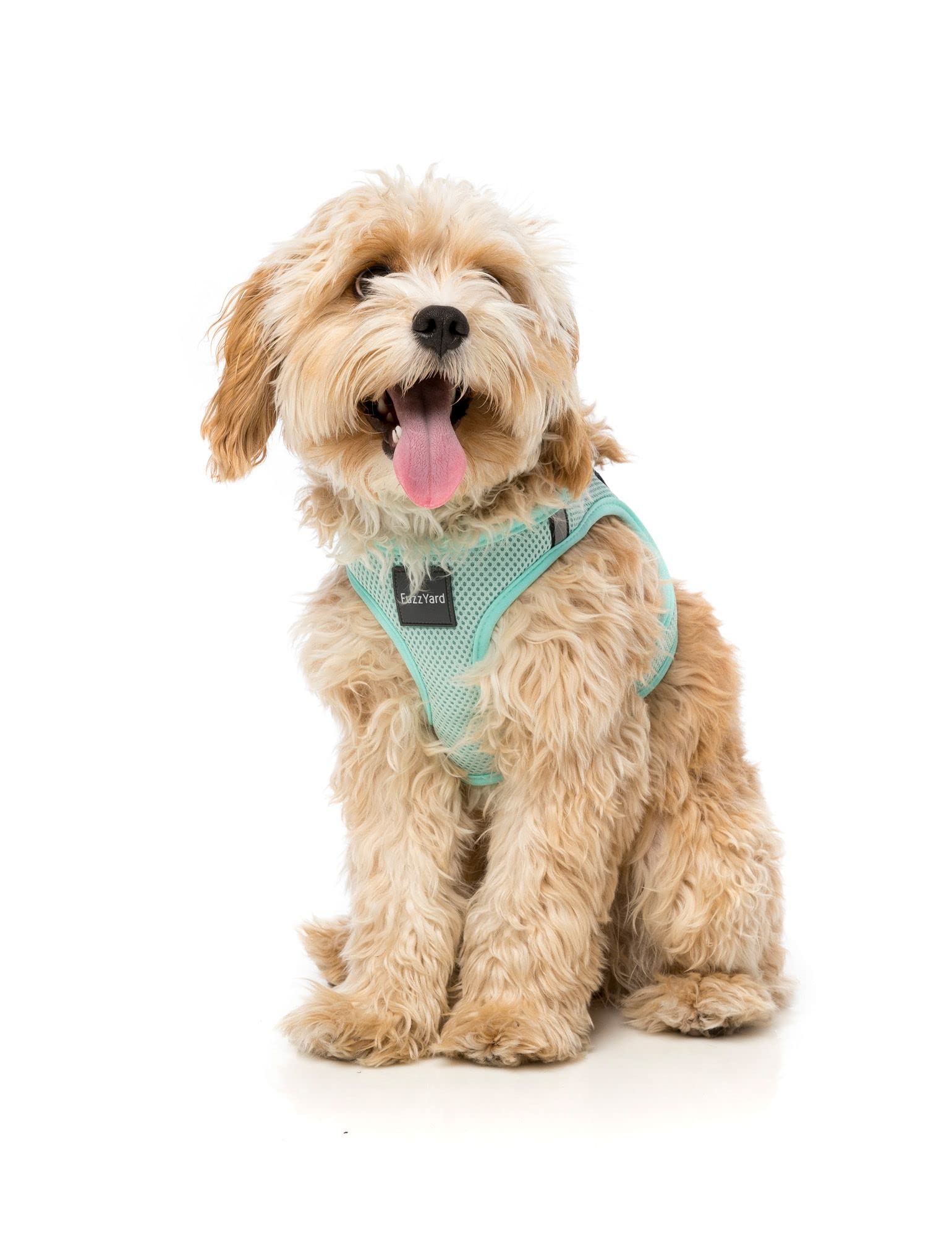 FuzzYard Mint Green Step in Harness for Dogs (Extra Large