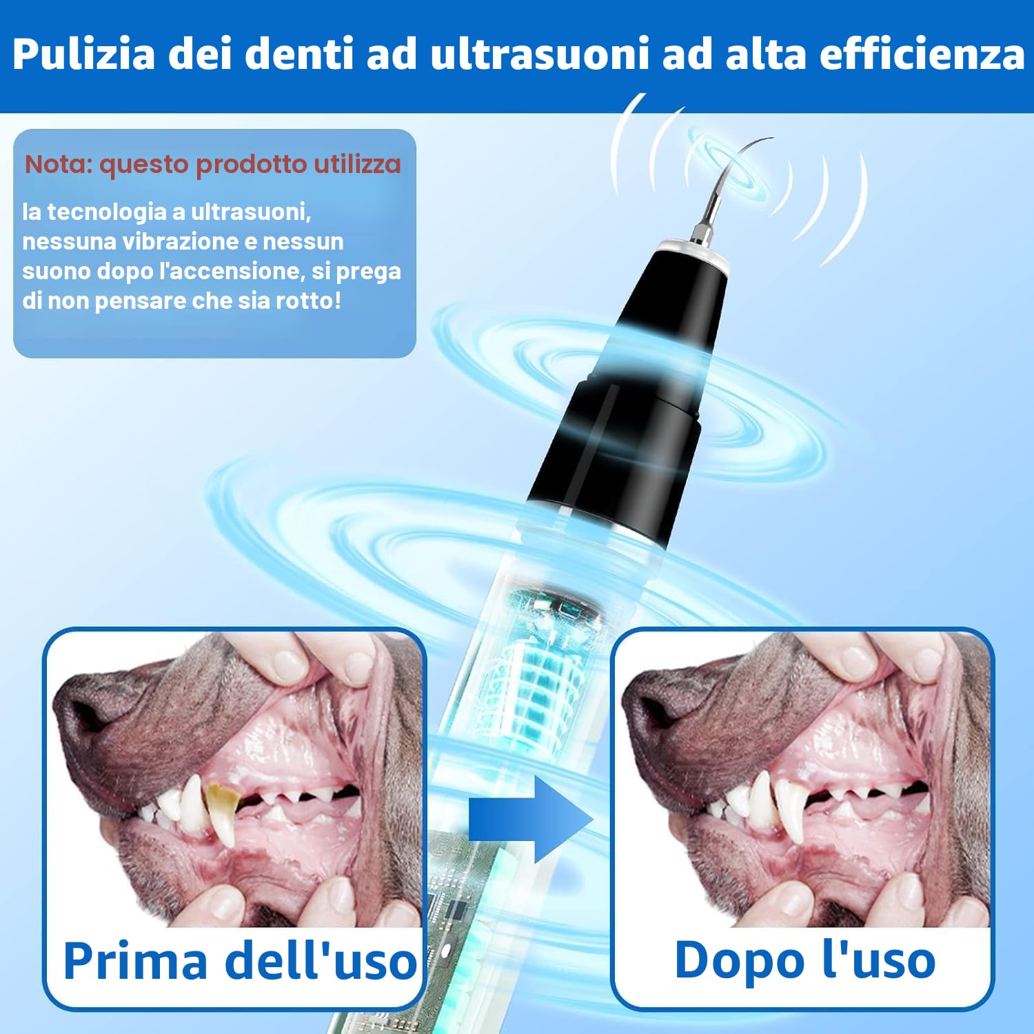 Ni-SHEN Kit per la rimozione della placca Dentale, per la Pulizia dei Denti a ultrasuoni per Animali Domestici, per tartaro e Macchie, Adatto per Cani e Gatti (Nero)