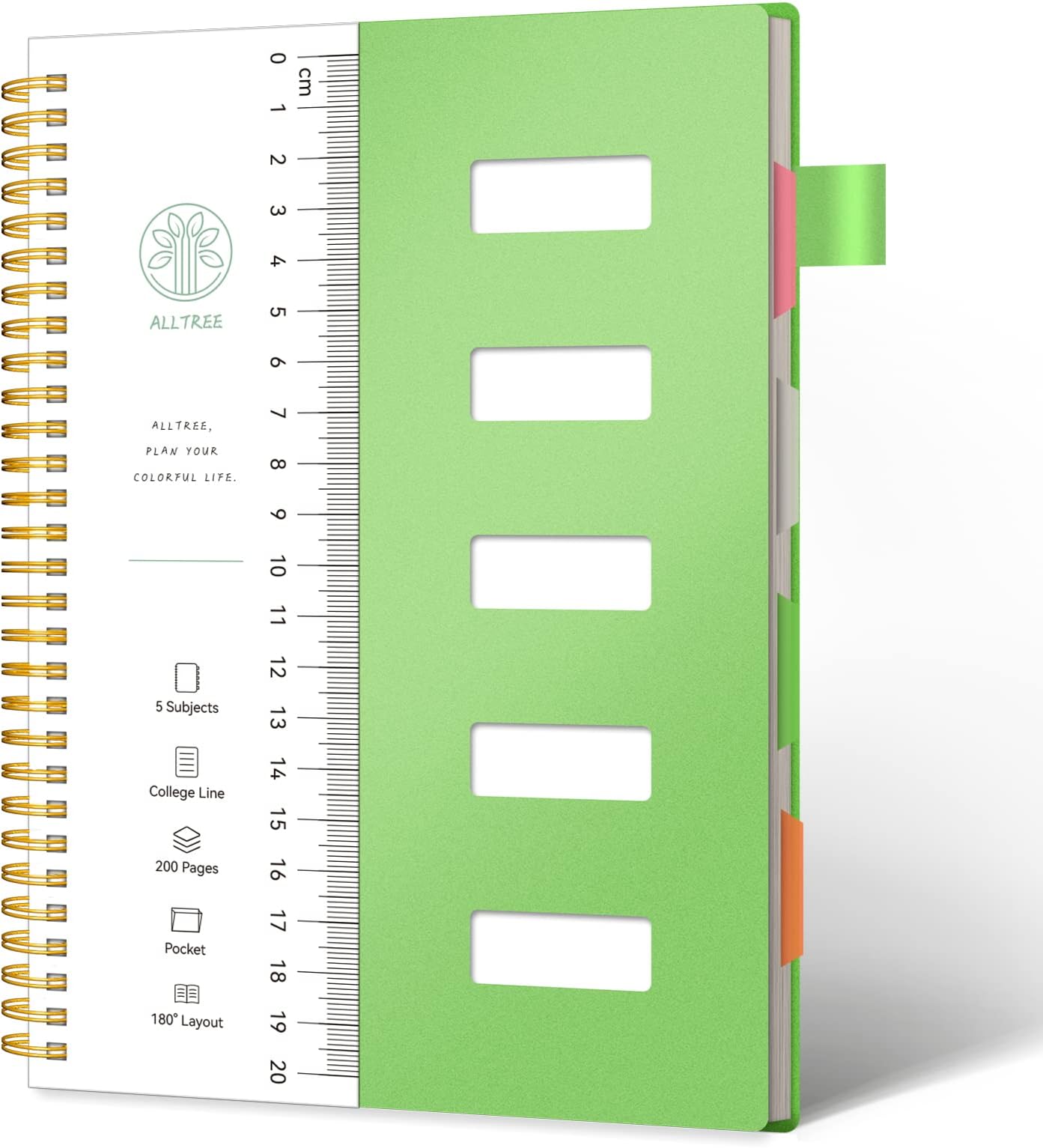 Amazon.com : Regolden-Book Spiral Notebook College Ruled, 5 Subject ...