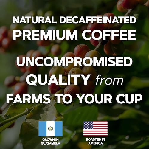 Miniatura 5 de Organovit Café negro molido instantáneo saborea un café rico y audaz en un instante café natural de alta calidad lleno de aroma y sabor 16 onzas