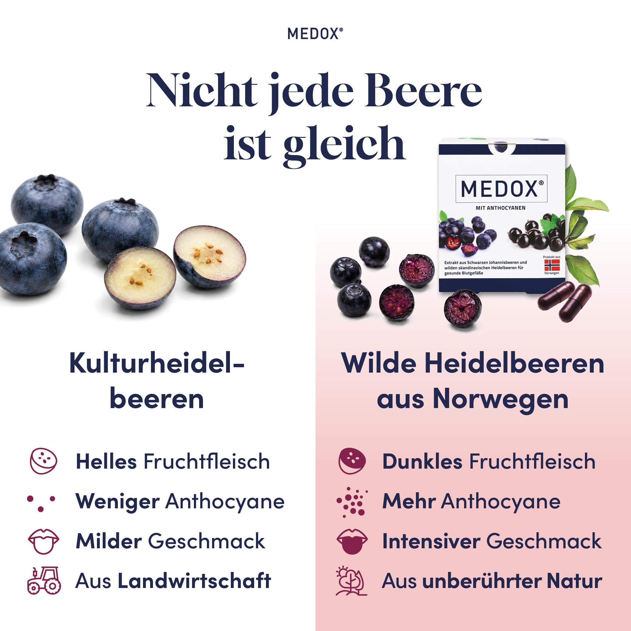 MEDOX Klassisch Anthocyane Kapseln, 30 Kapseln | Wilde Heidelbeeren & Schwarze Johannisbeeren, 60 mg standardisierte Anthocyane, 17 Anthocyane, Gefäße & Venen, vegan