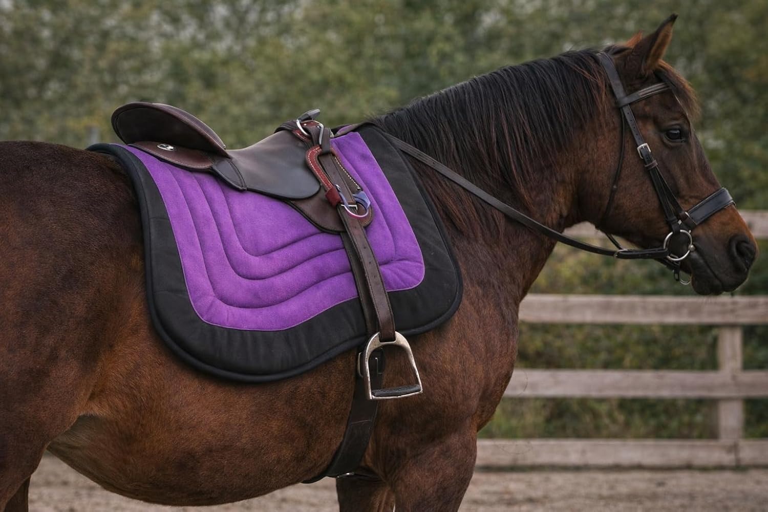 CHALLENGER Horse Western 23"x16" Contoured Neoprene Shock Absorbing Saddle Pad 39TS23