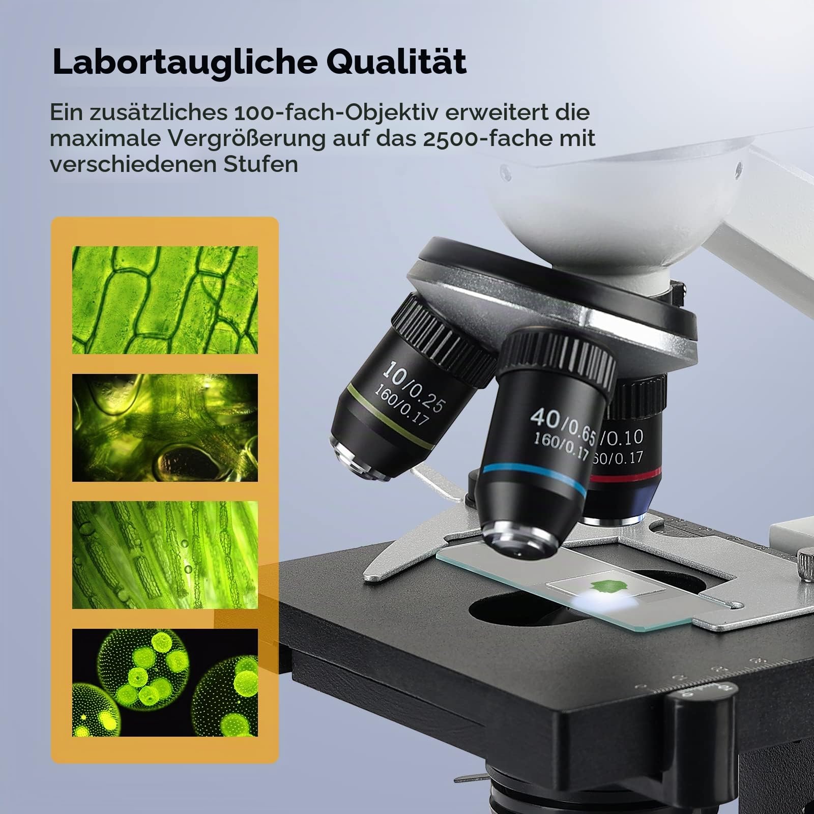 Laborkomplexes Trinokulares Mikroskop mit 40X-2500X Vergrößerung und 5MP 7-Zoll LCD-Bildschirm, zweischichtiger mechanischer Bühne für Tierhaltung, Tierkliniken, Labor