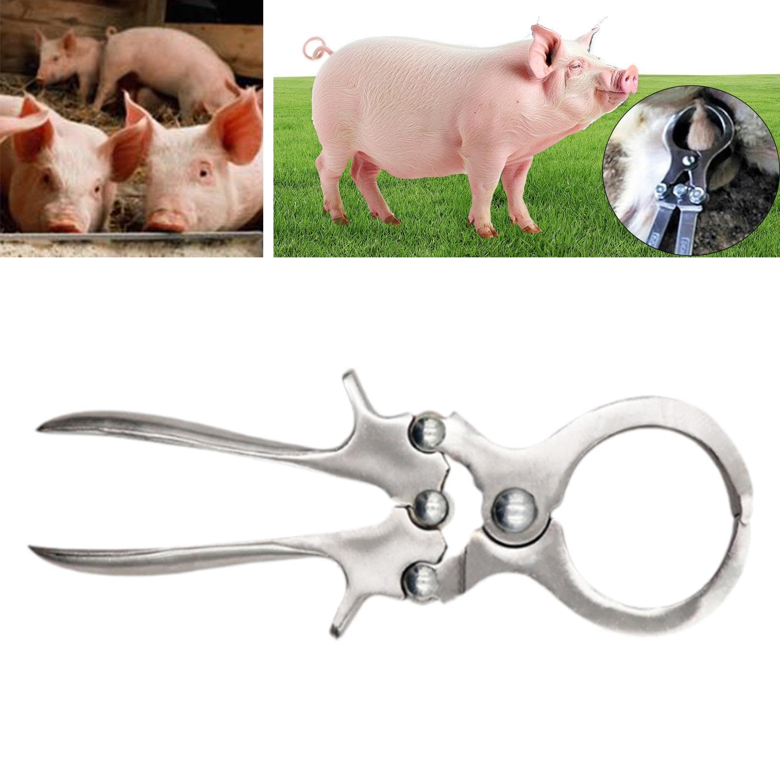 perfk Castración de Ganado Castración Castración Portable Portable Herramienta de Bandas de Agarre cómodo EMASCULADOR de Animales para EDUCACIÓN de LA Farm, Style a