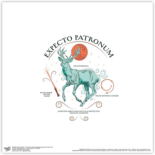 Trends International Gallery Pops Harry Potter - Póster de pared de herbología de flora y fauna Expecto Patronum, 12.00 x 12.00 pulgadas, versión disponible en Yaxa El Salvador