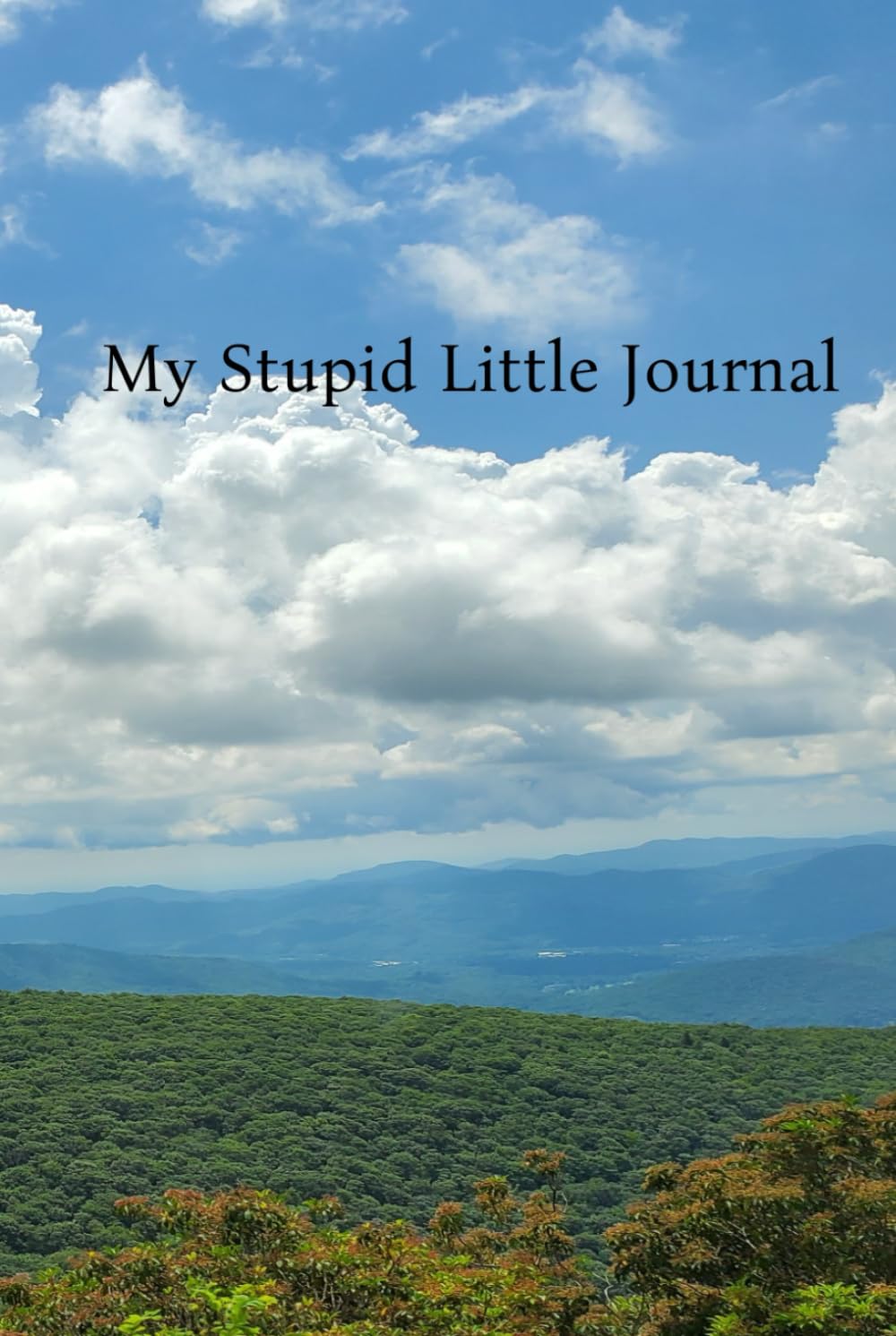 My Stupid Little Journal