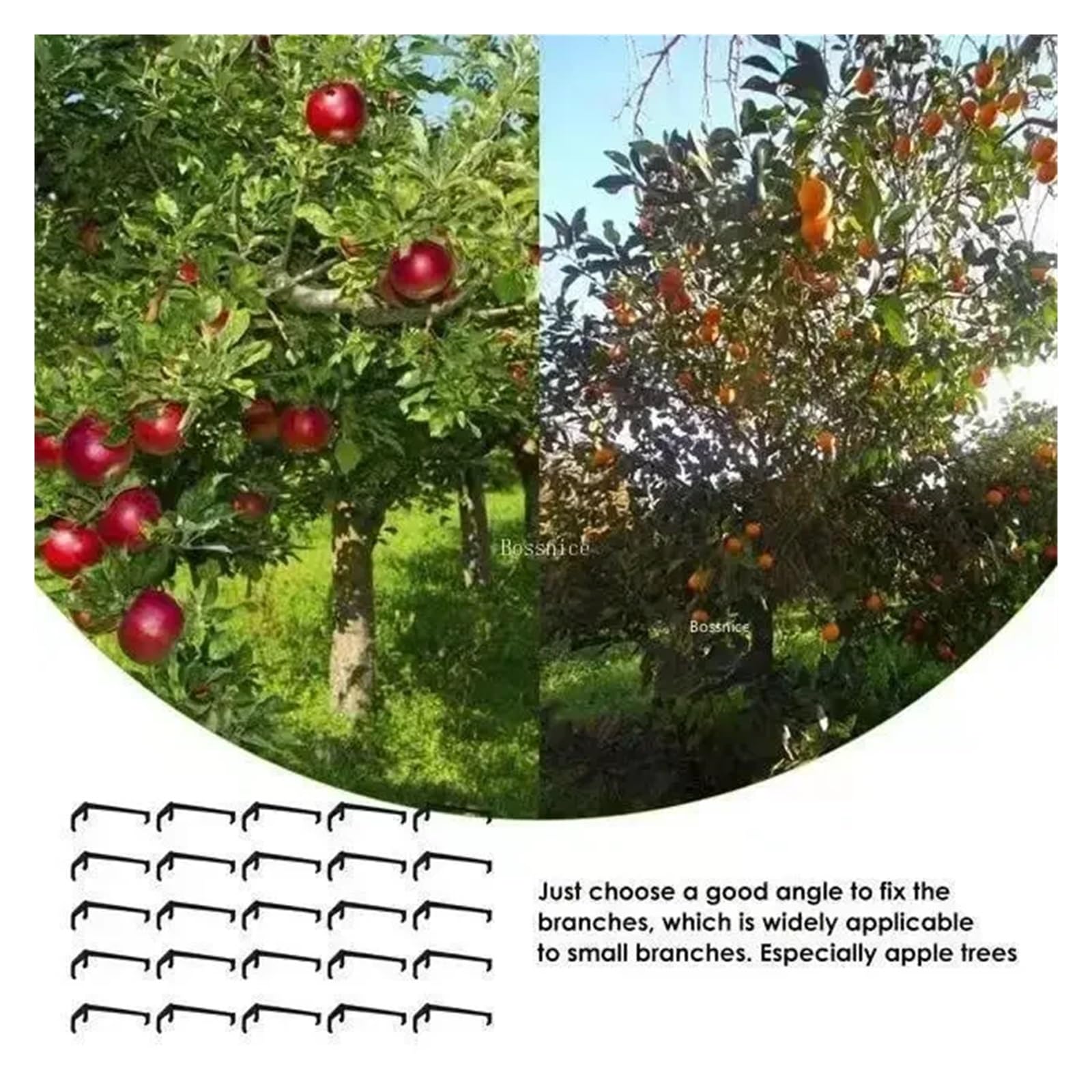 Tutores para Plantas 10-30 Uds Clips de árboles frutales Soporte de Plantas de Enredaderas moldeadores de torsión Extractor de Ramas Herramientas de jardín curvadas de estilismo Giratorio(30Pcs)