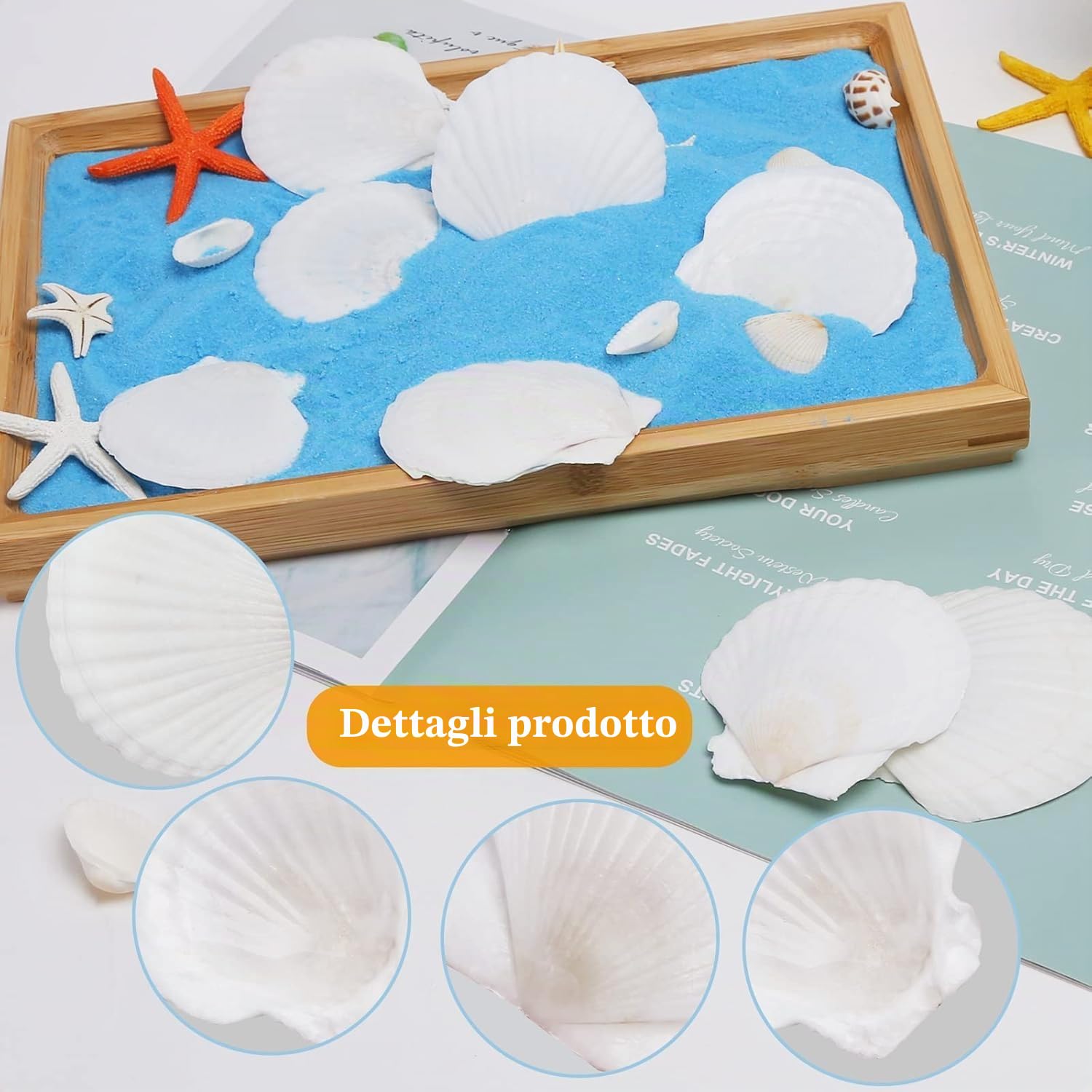 Conchiglie bianche di capesante Shell 16PCS grande naturale dalla spiaggia del mare per il mestiere fai da te (A)