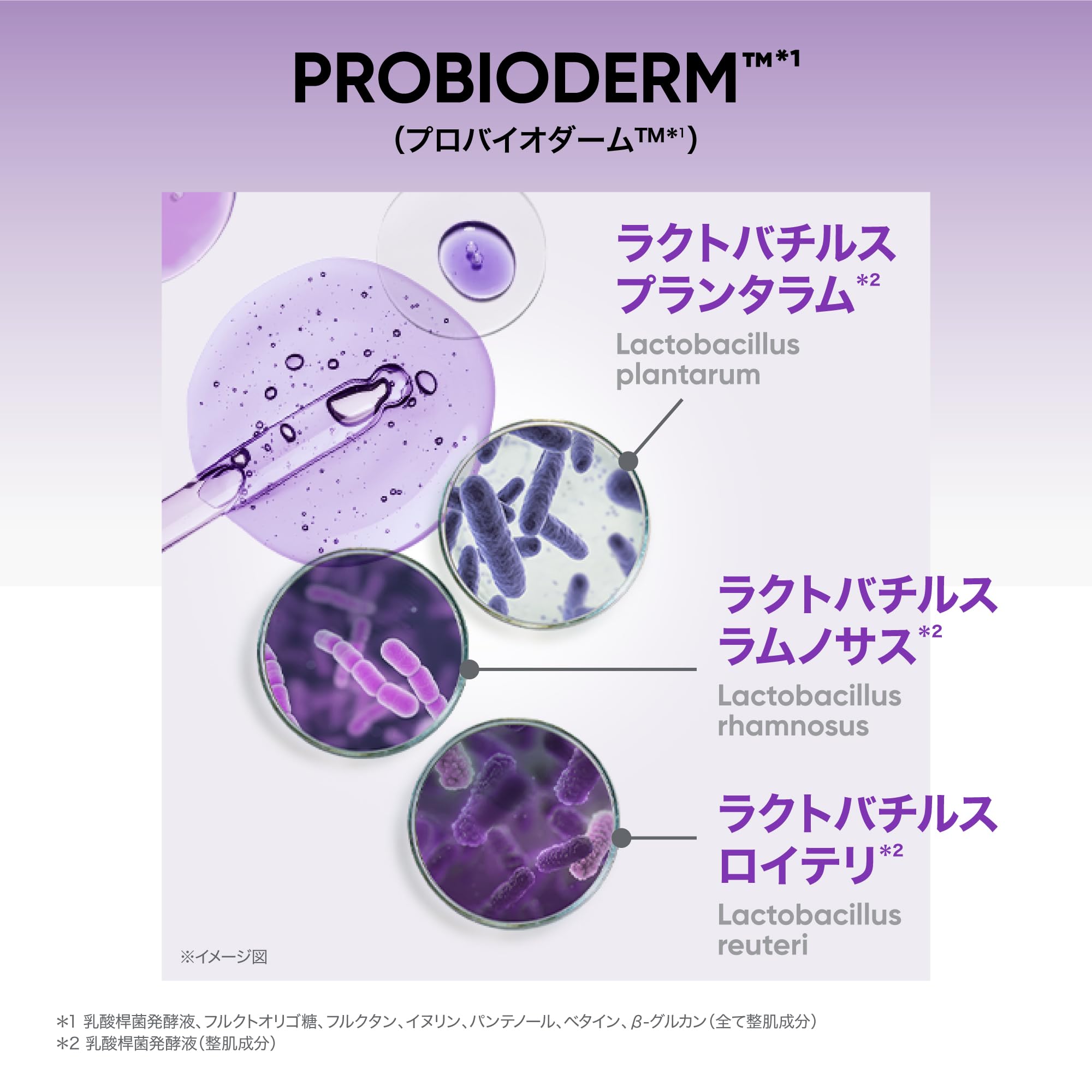 Amazon.co.jp: バイオヒールボ(BOH) プロバイオダーム コラーゲンリ
