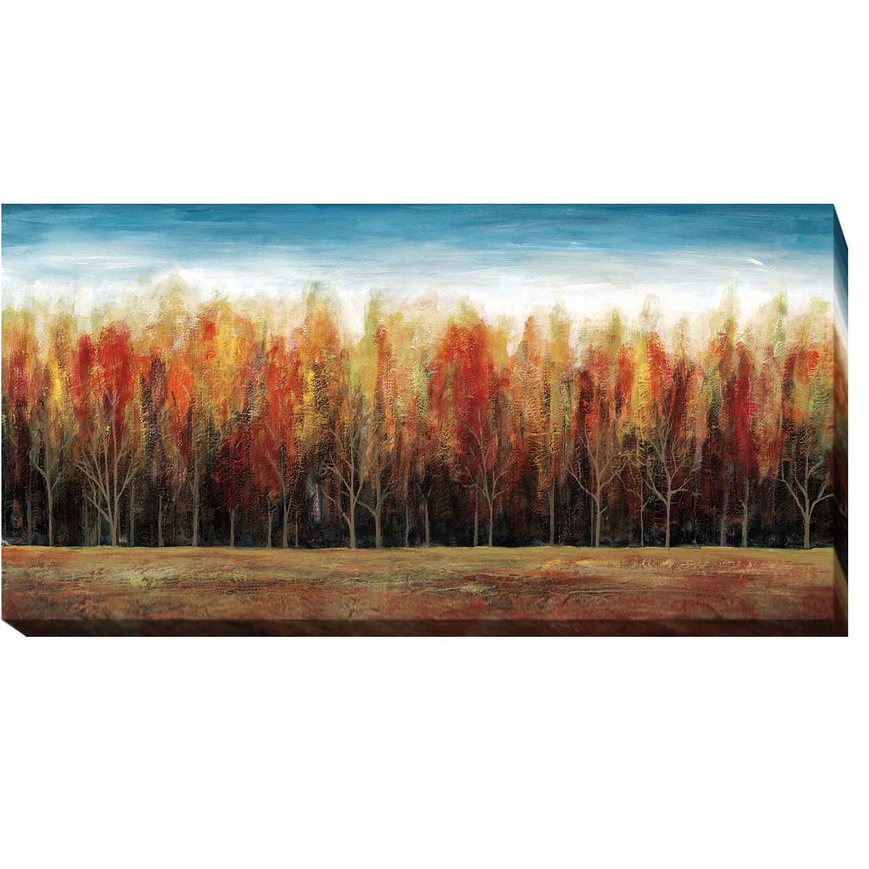 Deep Forest by Stephane Fontaine Premium Gallery-Wrapped Canvas Giclee (Ready to Hang) (Large)