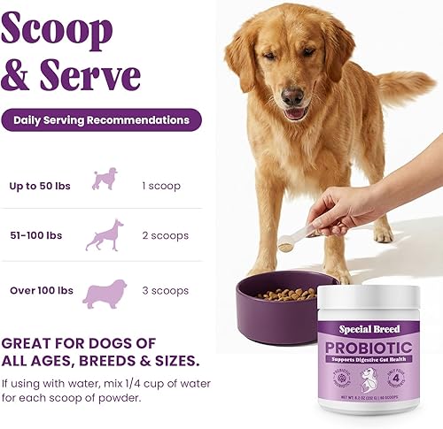 Miniatura 6 de Probióticos para perros  Probióticos en polvo para perros para la salud digestiva, apoyo intestinal y refuerzo inmunológico  Mezcla premium con