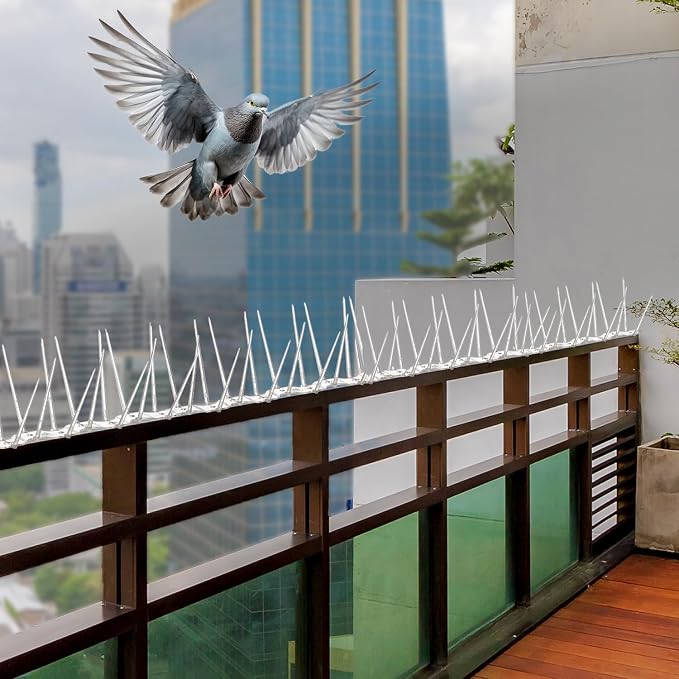 Amazon Brand - Solimo Bird and Pigeon Control Spikes Weather Resistant 13 in x 1 in x 3.7 in Maintenance-Free (10 Pcs)