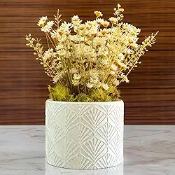 Arranjo de Flores Sempre-Vivas Naturais em Vaso Decorativo, 15 cm, Branco com Padrão Art Déco (1)