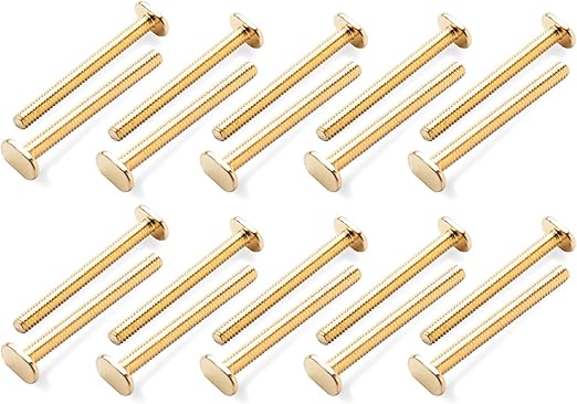 DuBois 1/4"-20 T Track Bolts 20 Pack for T Track, 2-1/2 Inch T Slot Bolts for Kreg Track, Miter T Track and 1/4" T Track, T Track Accessories for Woodworking Jigs and Fixtures (51056)